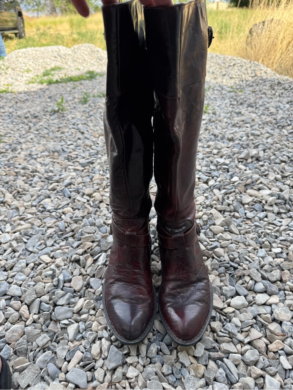 Born Women's Tall Leather Heeled Boots in Dark Burgundy